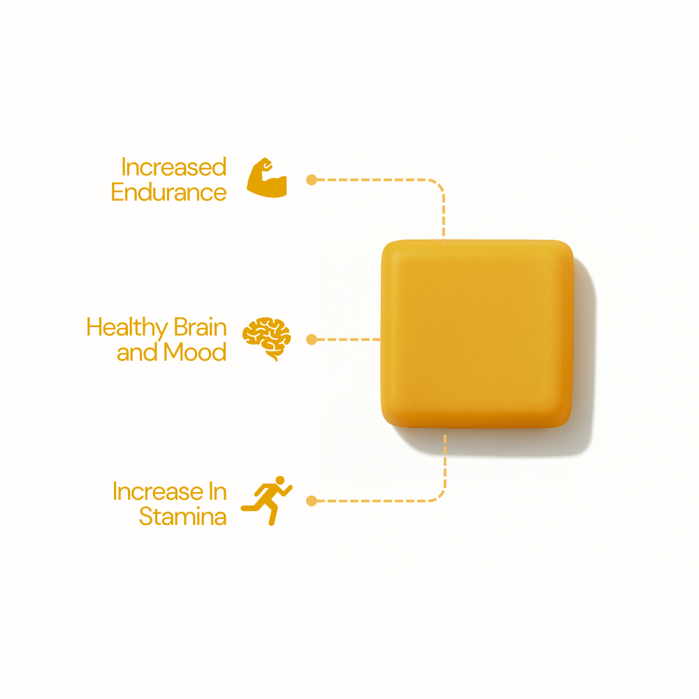ALTÜ - Creatine Monohydrate Gummies - Altu Nutrition Inc.